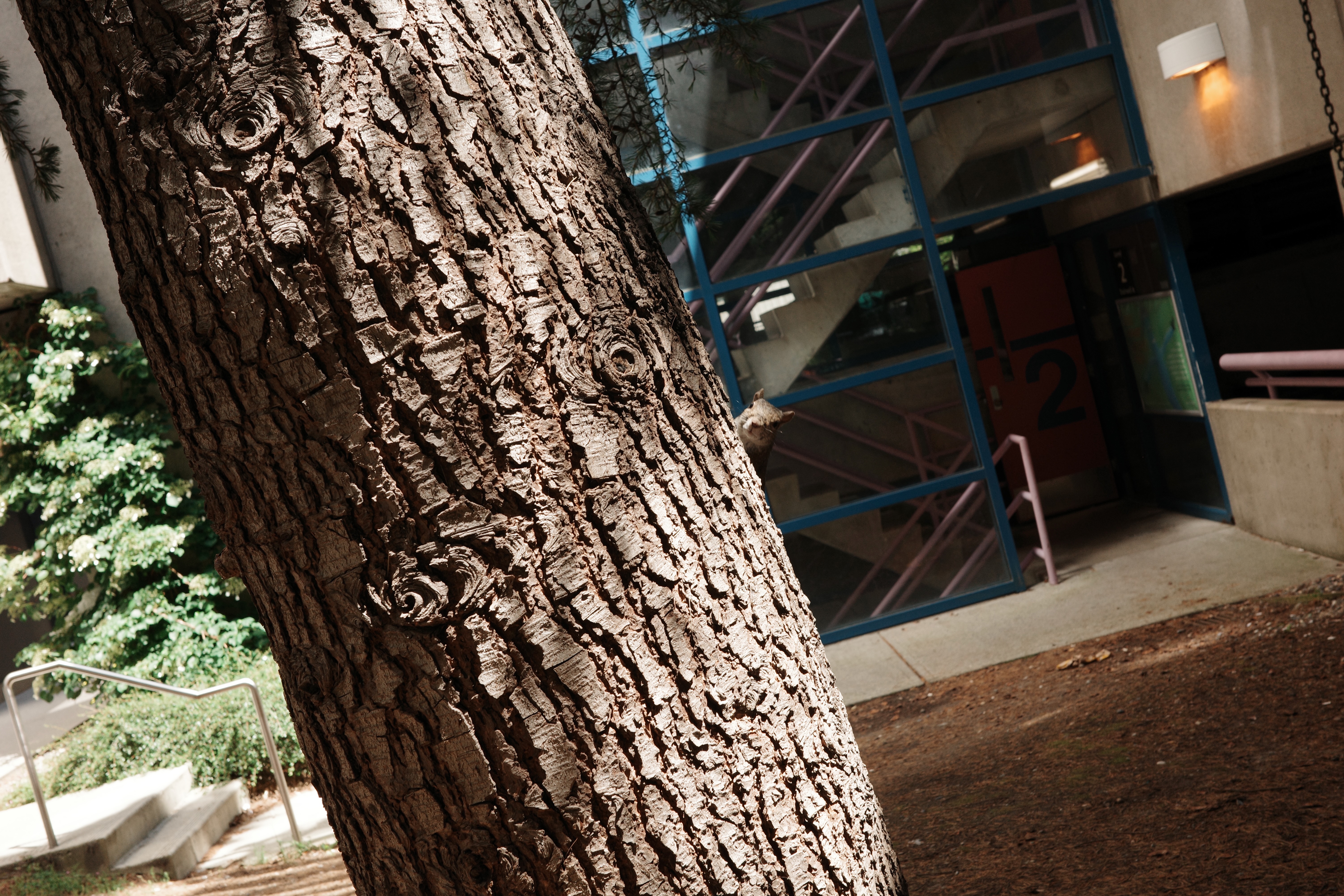 Can you see me?