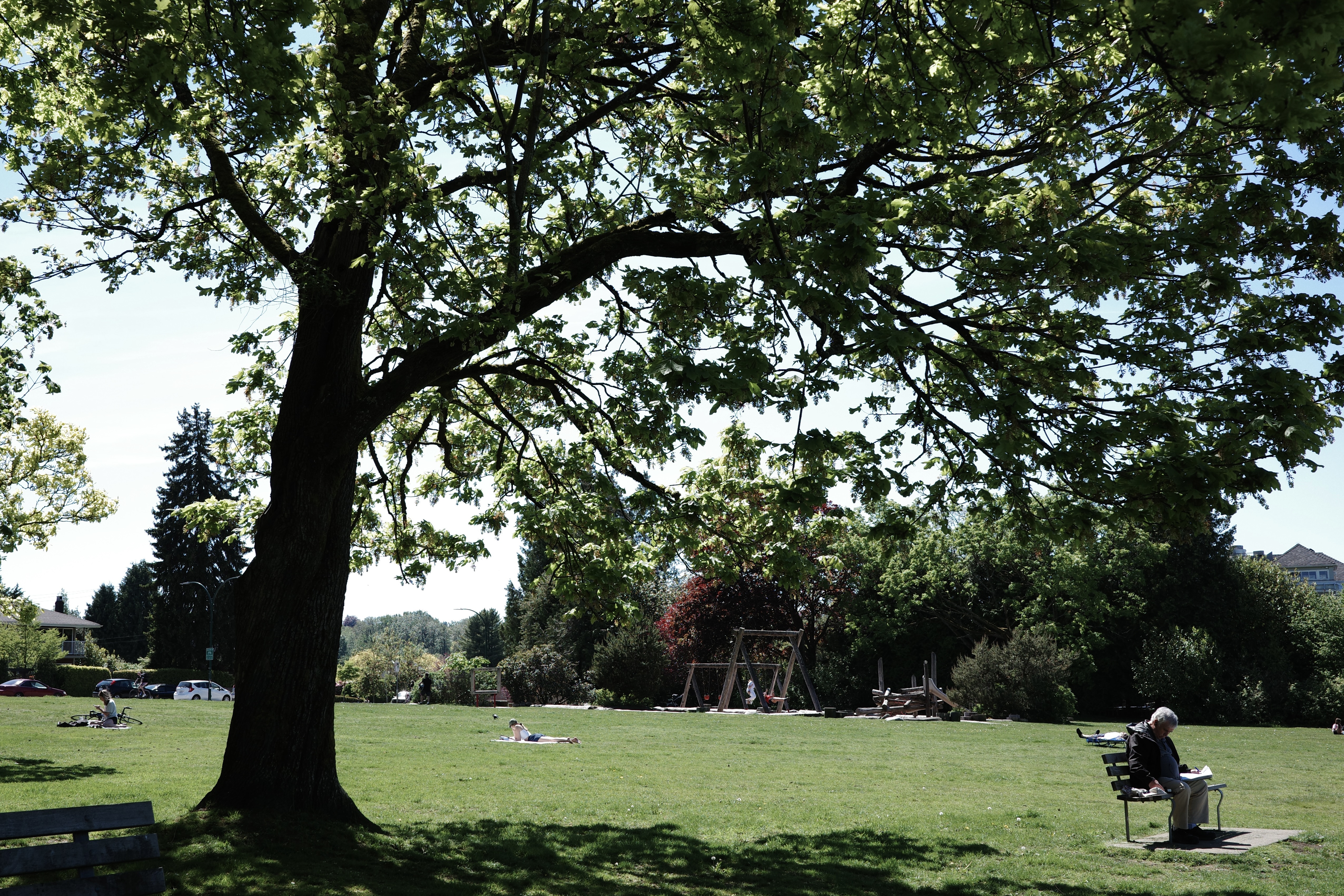 Man on a bench under shade in a park